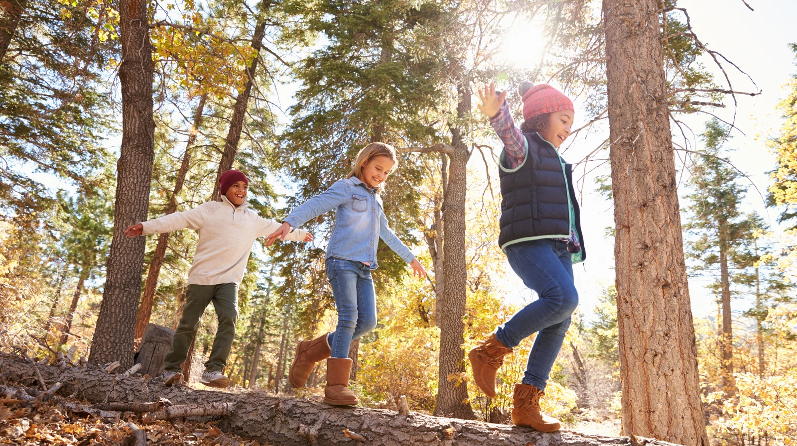 iStock-515278306 bearbeitet