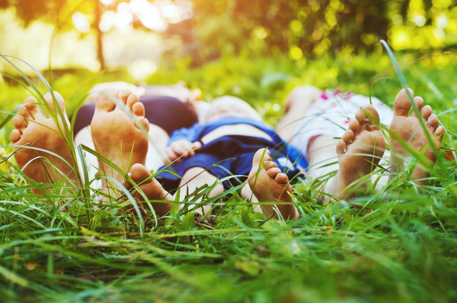 iStock-478466738